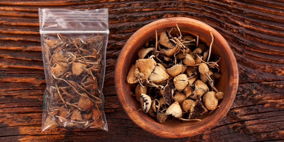 What Are Magic Mushroom Edibles?