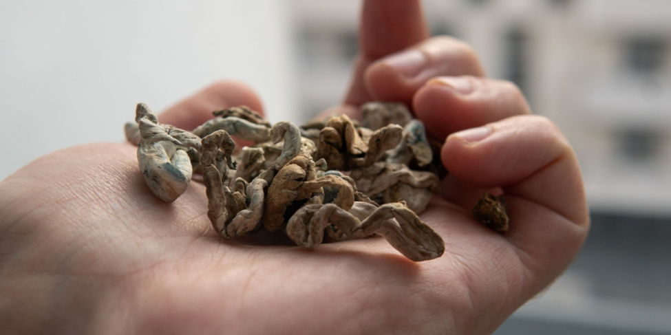 How to Consume Magic Mushrooms?