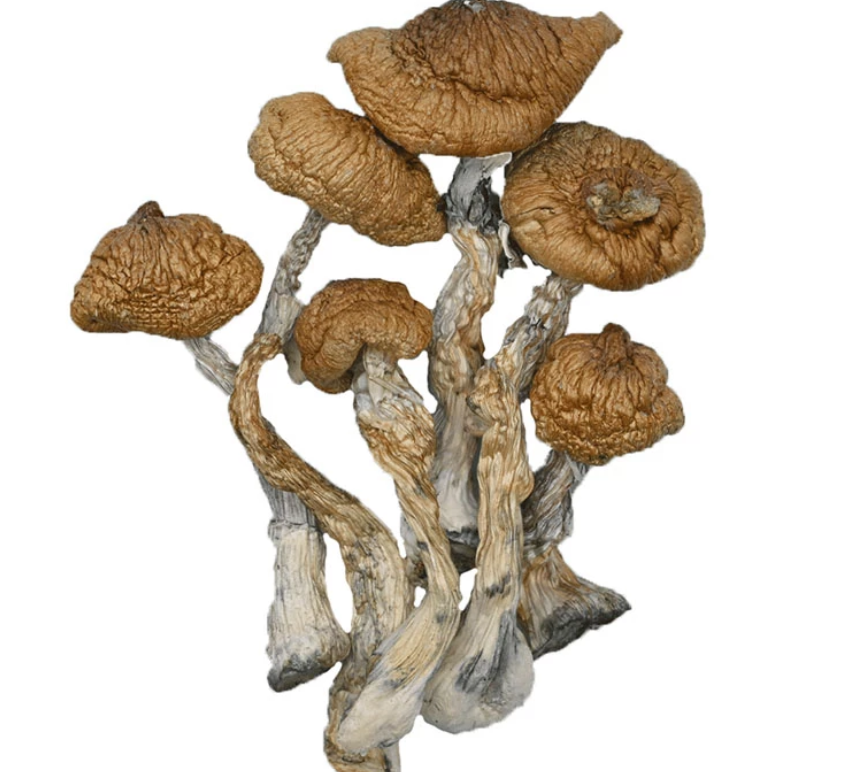 Shop Secondary Image