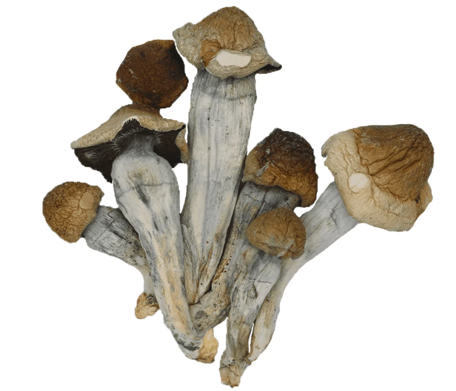 Shop Secondary Image